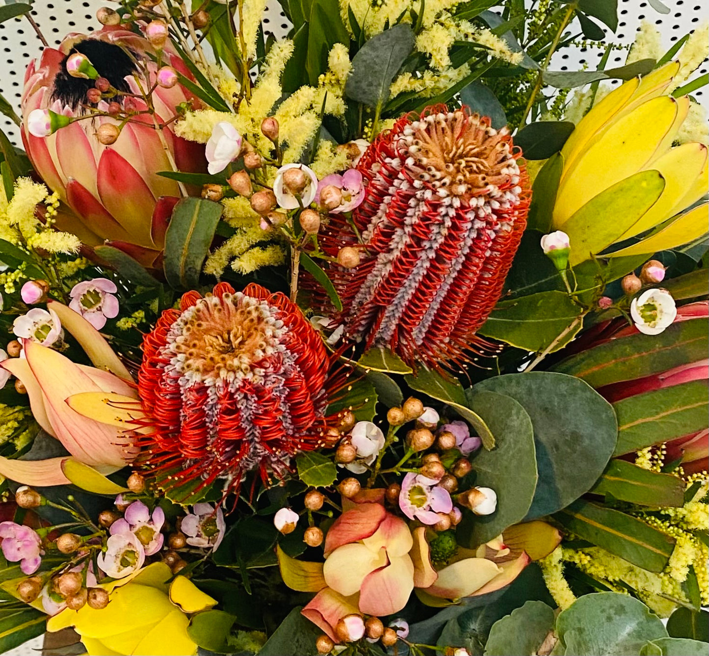 Native Flowers