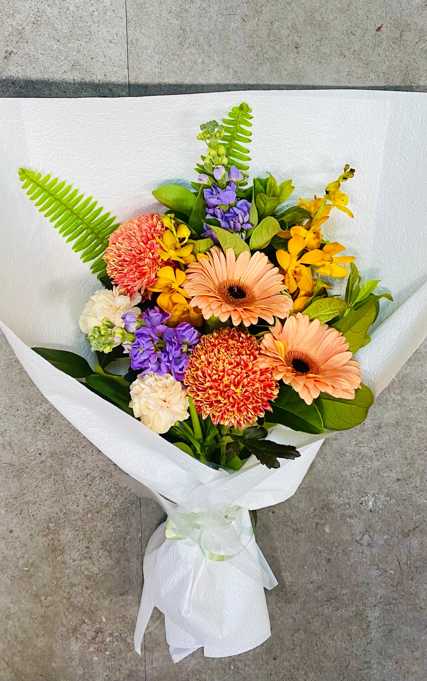 Vibrant Flowers