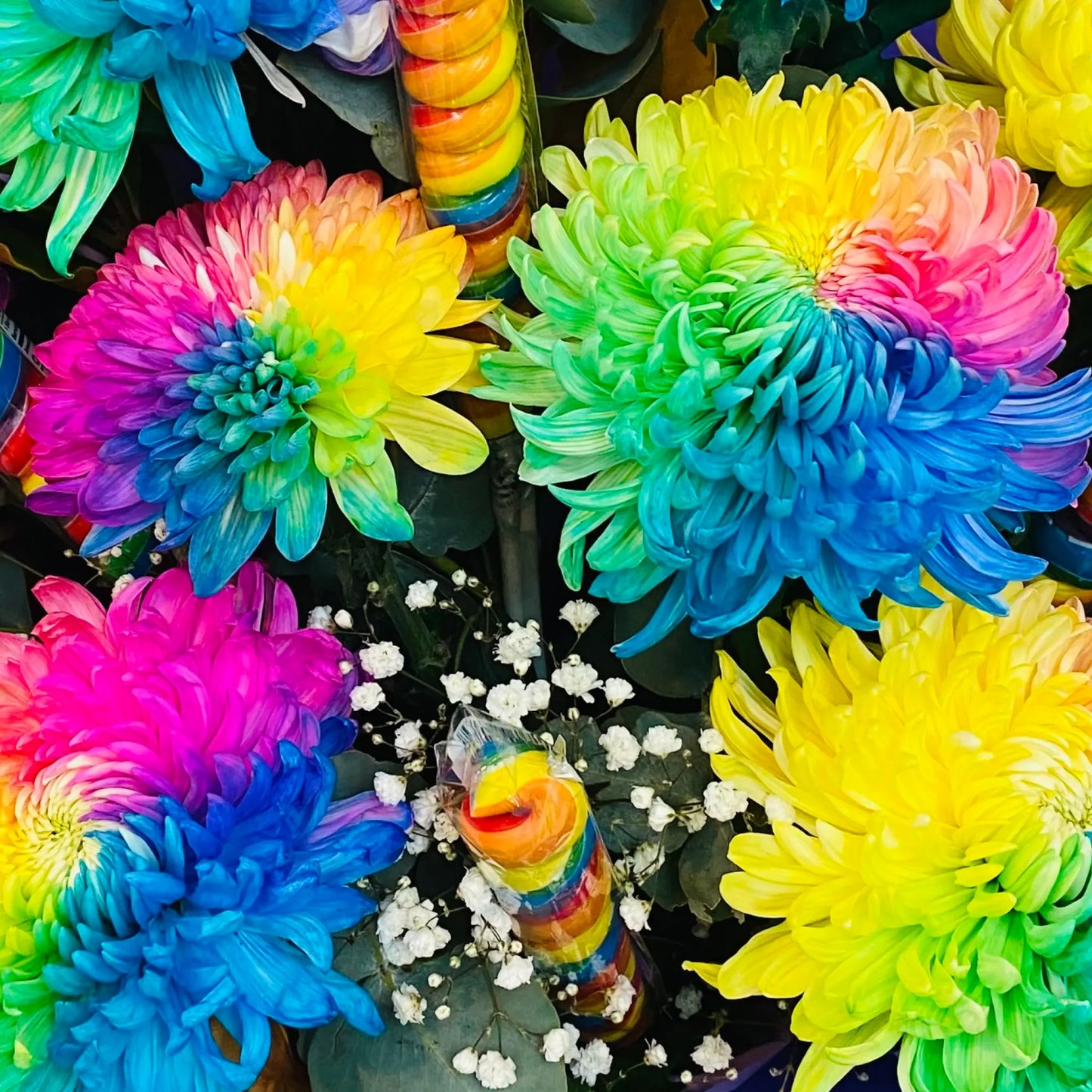 Rainbow Flowers