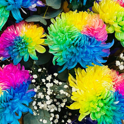 Rainbow Flowers