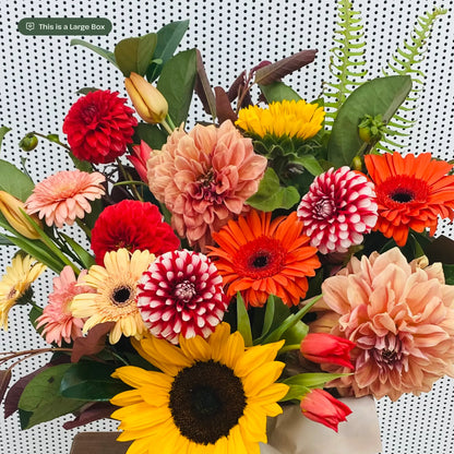 Vibrant Flowers