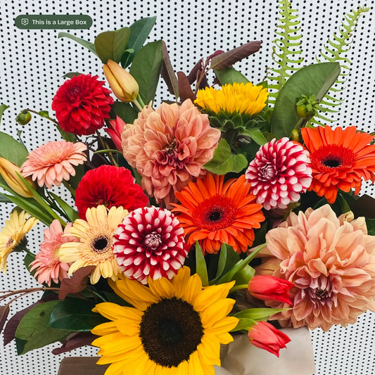 Vibrant Flowers